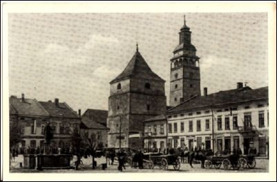 ZYWIEC